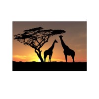 Prigo Hayvanlar Serisi Afrika 50x70 cm Dijital Baskı Kanvas Tablo