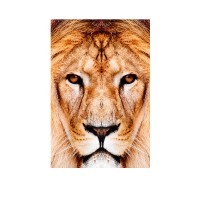 Prigo Hayvanlar Serisi Aslan 50x70 cm Dijital Baskı Kanvas Tablo