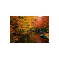 Prigo Doğa Manzaraları Serisi Nehir-3 50x70 cm Dijital Baskı Fotoblok Tablo