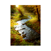 Prigo Doğa Manzaraları Serisi Nehir-2 50x70 cm Dijital Baskı Kanvas Tablo